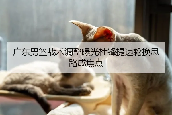 广东男篮战术调整曝光杜锋提速轮换思路成焦点
